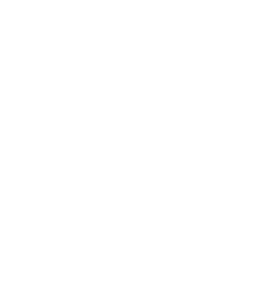 东呈 logo